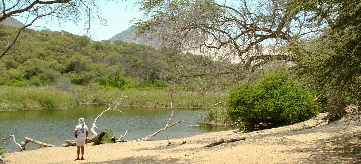 cañoncillo- https://tmtravel.pe/wp-content/uploads/2026/01/canoncillo-.jpeg